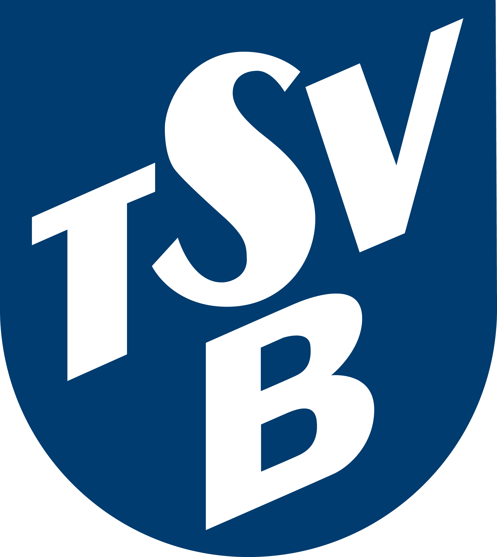 Logo TSV Berkheim 1895 e.V.
